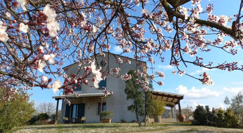 Ettaro Verde studio apartment for holidays - Image 1