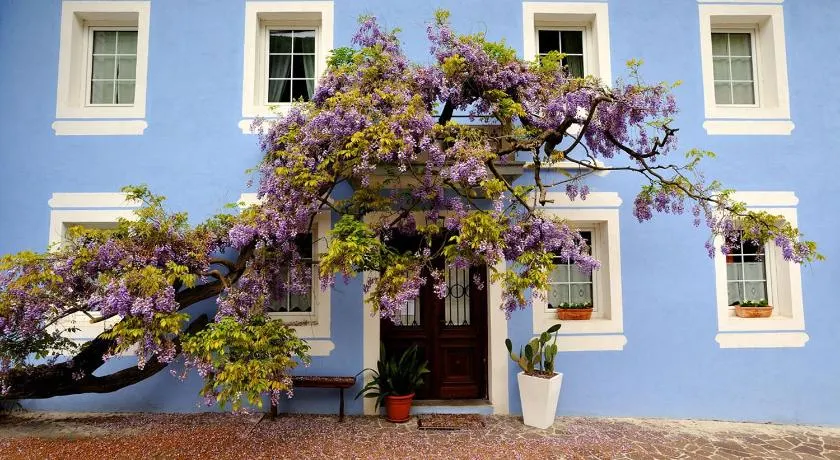 The Blue House - Image 1