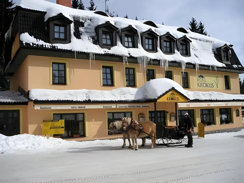 Hotel Krokus - Image 1