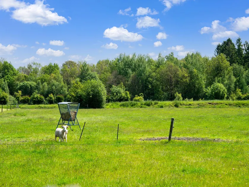 Cottage in Dwingelderveld with Scenic Views - Image 1