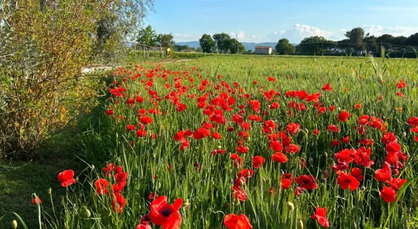 Agriturismo IL GROTTINO - Image 1