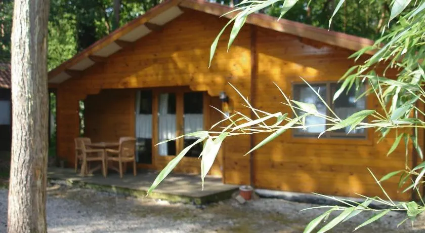 Bospark De Brenkberg - Image 1