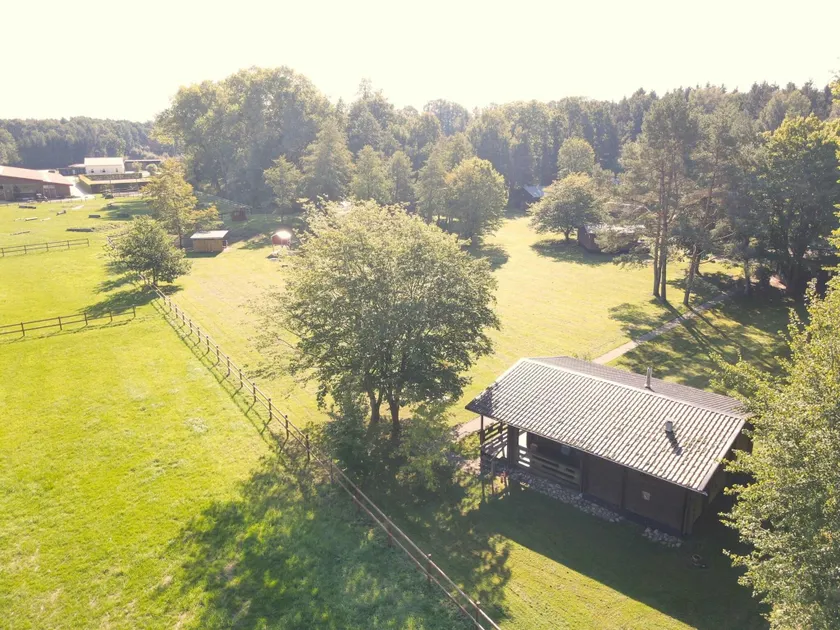 Ruckzugsort mit Terrasse, Eschede - Image 1