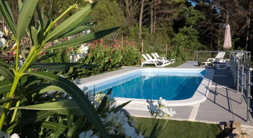 Guest house LUCIJA with swimming pool - Image 1