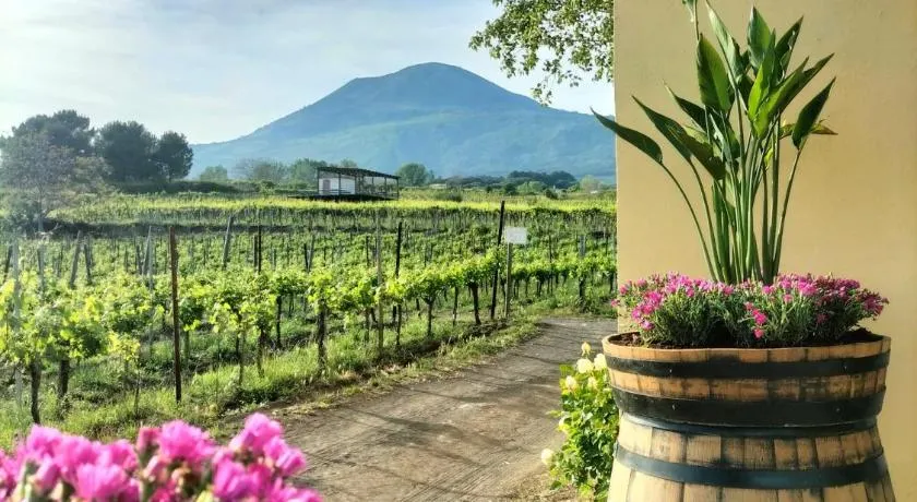 Vesuvio Inn Guest House e Wine Experience - Image 1