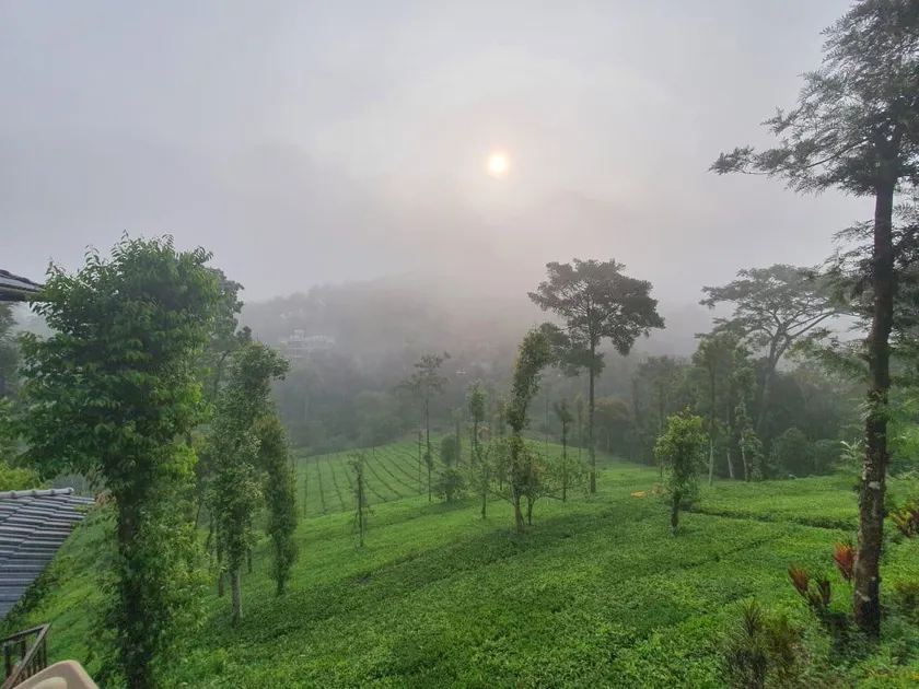 Vythiri Stream View - Image 1