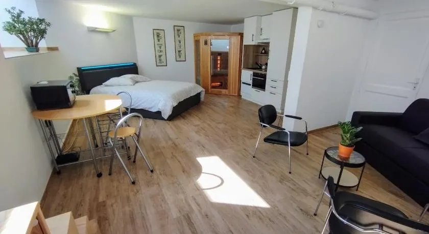 Studio 40 m2 avec sauna proche de Strasbourg - Image 1