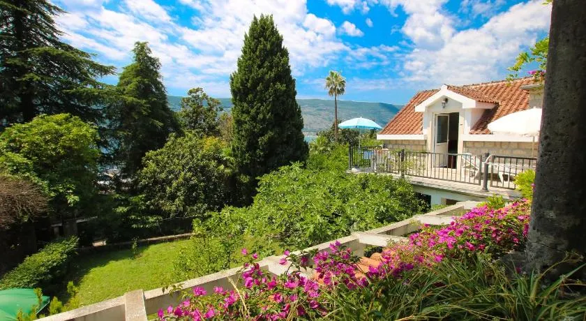Guest House Saga - Image 1