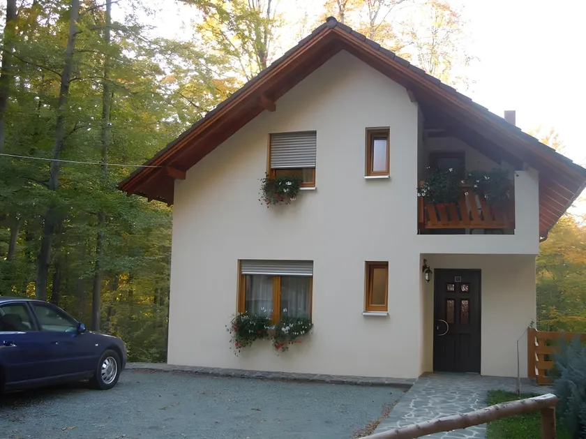 Pintea Chalet - Image 1