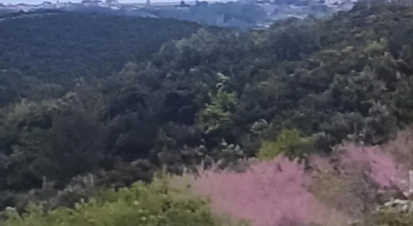 ΠΑΝΟΡΑΜΑ - Image 1