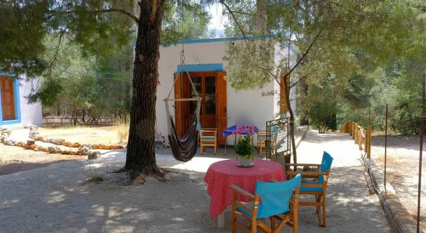 little house in forest - Image 1