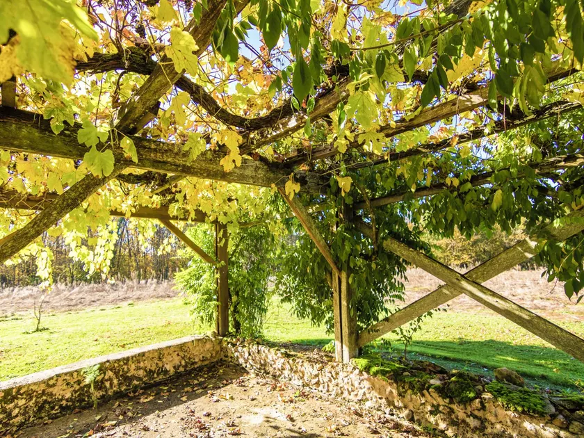 Tranquil Escape in Cendrieux - Image 1