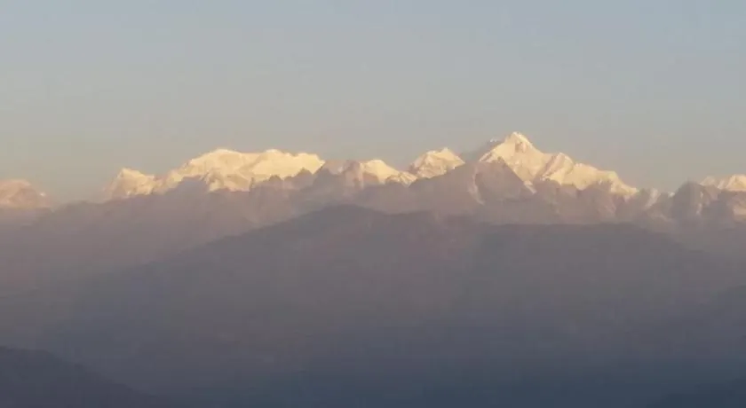 VAMOOSE CHAMLING - Image 1