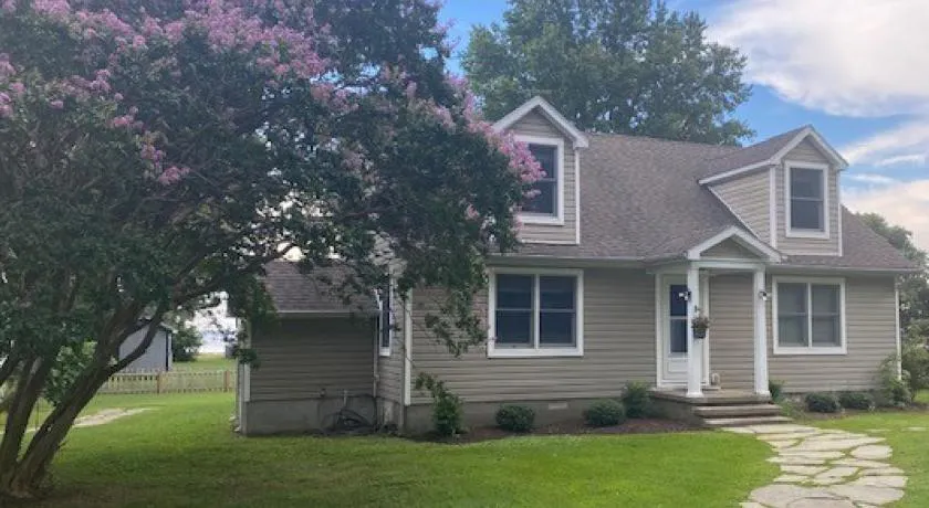 Crepe Myrtle - Image 1