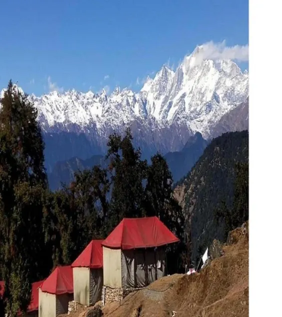 Camping at Serene Chopta - Image 1