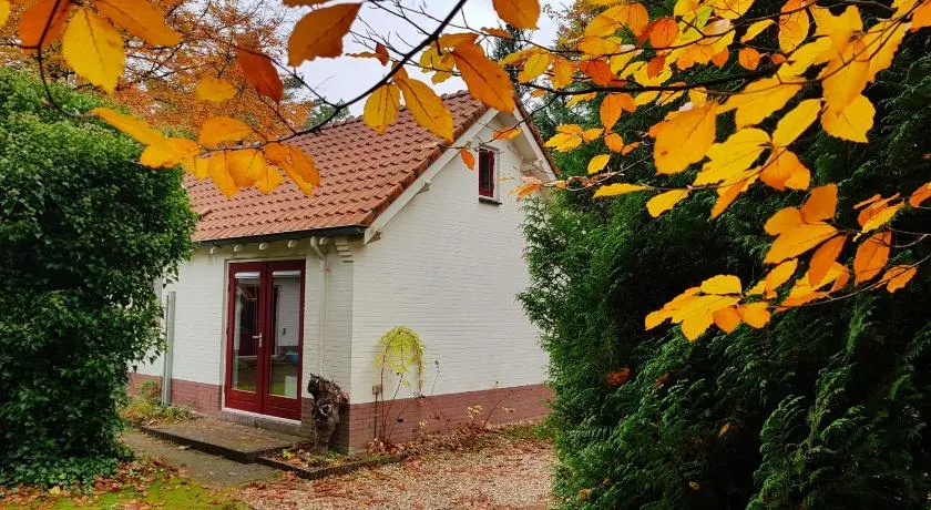 Dennenhuis - Image 1