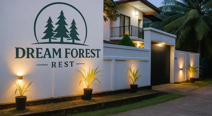 Dream Forest Rest - Image 1