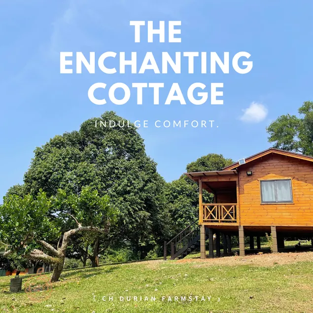 CH Durian Farmstay - Image 1