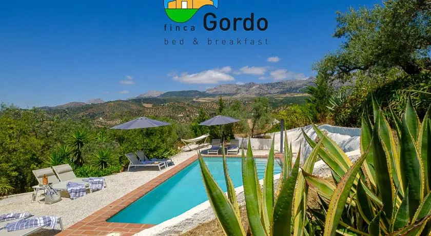 Finca Gordo - Image 1