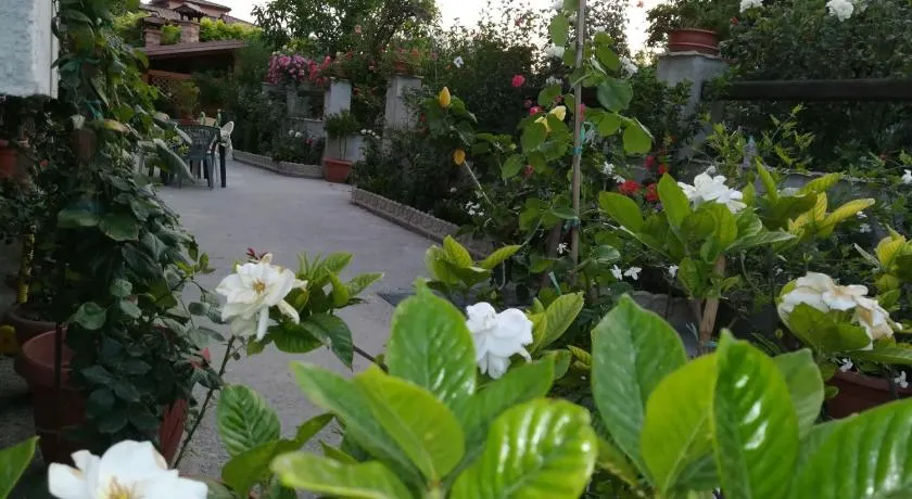 Villa delle rose - Image 1