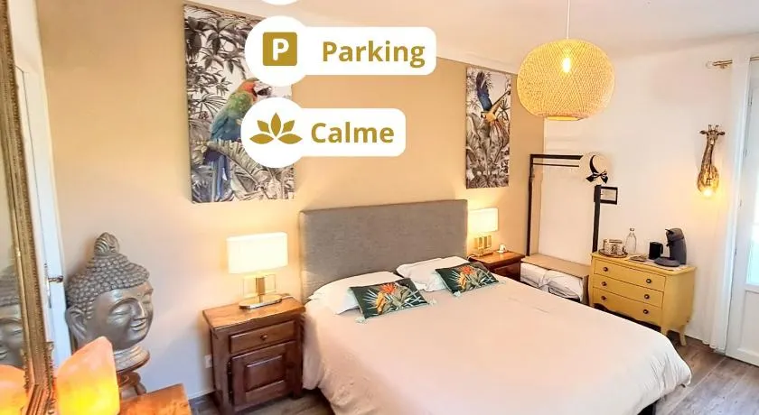 Chambre deluxe Olivièr et Pinedo - Image 1