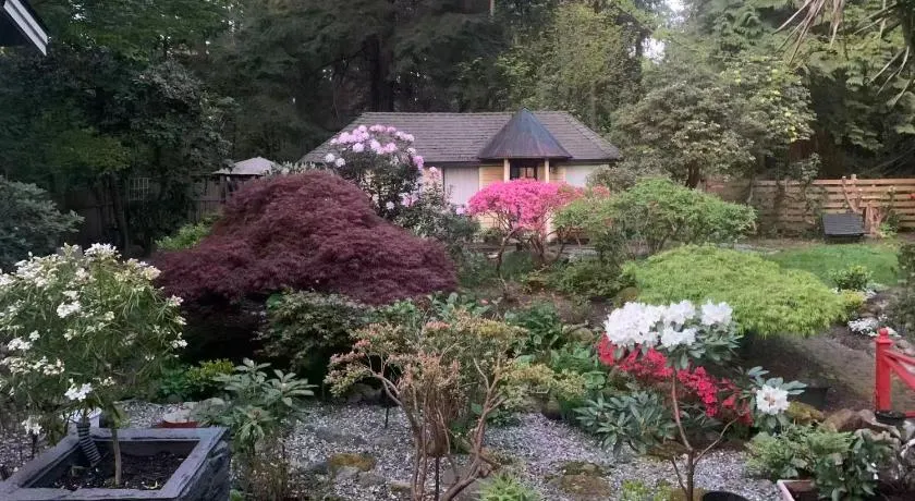 Quiet Backyard Cabin - Image 1