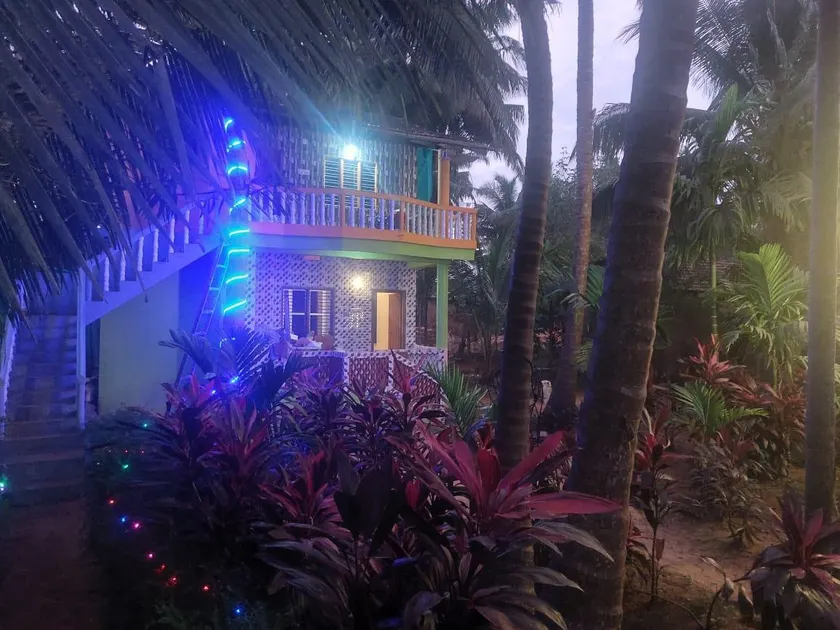 Areca Nest - Image 1