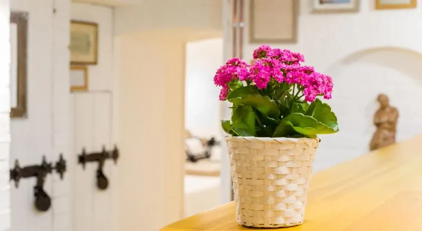 Ádám Apartman - Image 1