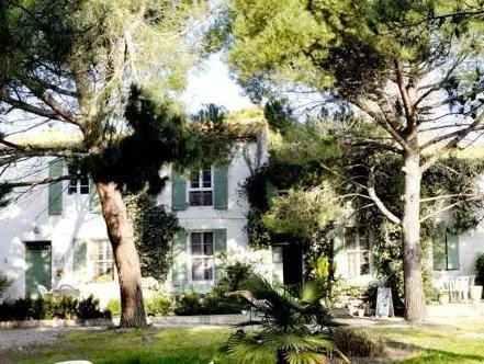 Manade Cavallini - Mas de Pioch - Image 1