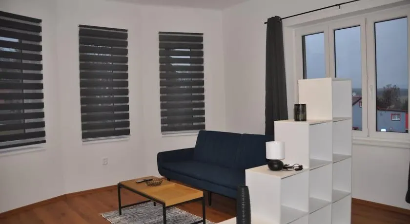Villa Amarotico, apartment 1, Plesná - Image 1