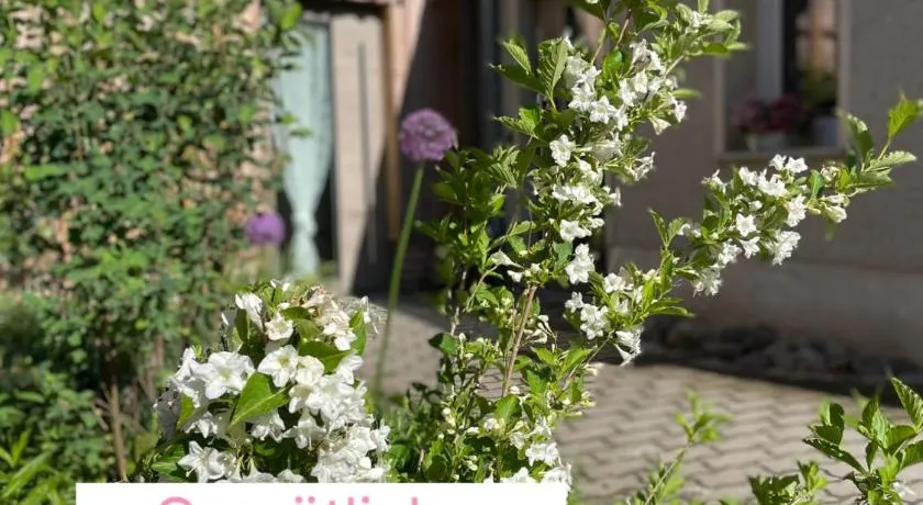 Kochstedter Wohnstuben - Wohnen mit Naturbaustoffen in der Bauhausstadt Dessau - Image 1