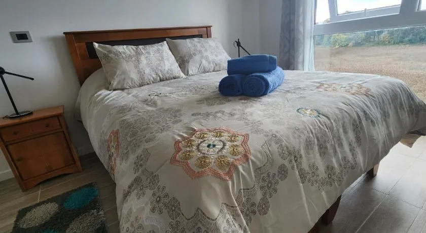 Departamento en Valdivia. - Image 1