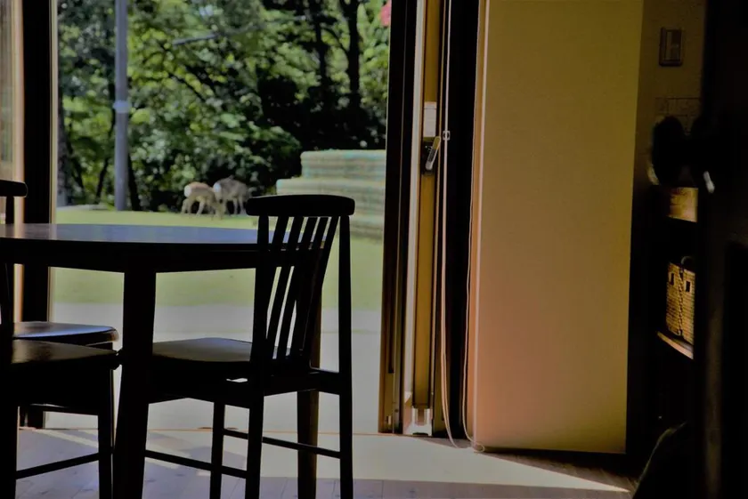 Mountain Home Lodge in Deer Park - Image 1