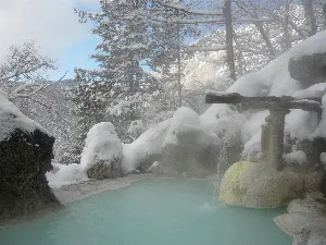 Hirahone Onsen Shirafuneso Shintaku Ryokan - Image 1