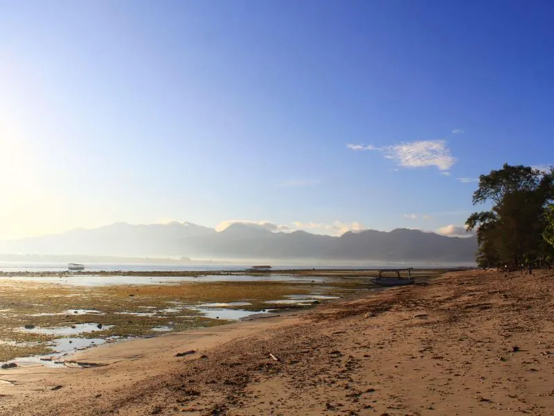 Kaluku Gili Resort - Image 1