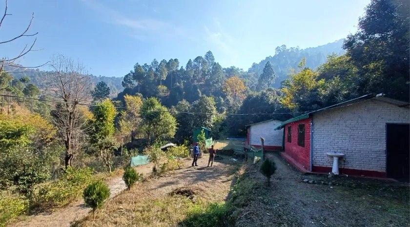 Tehri Oak Forest Stay - Image 1