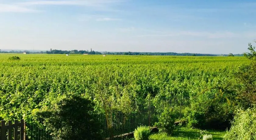 Appartement avec vue sur les vignes à Gevrey - Image 1