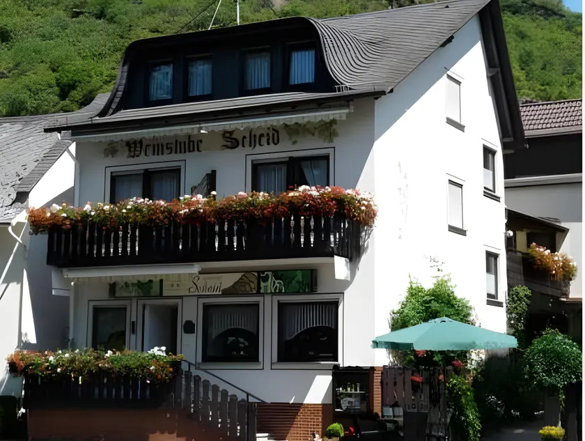 Pension / Ferienwohnungen Scheid - Image 1