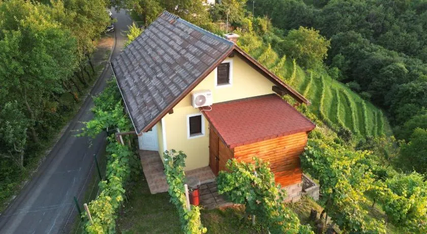 Adorable guesthouse in the middle of vineyards - Image 1
