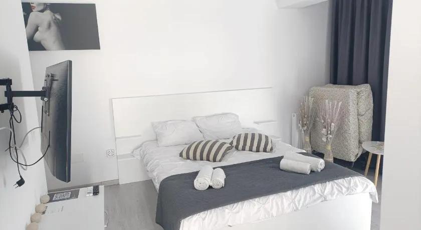 Carmen's nest - Image 1