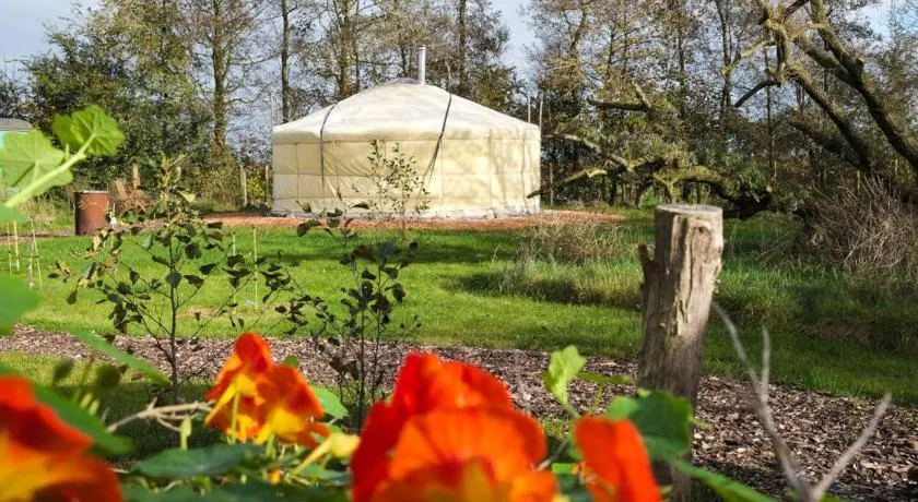 Yurt Klyndobbe - Image 1