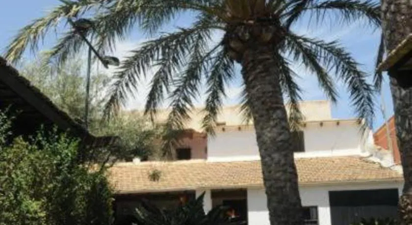 Sun & Palm Trees - Image 1