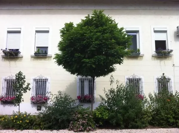 Szivárvány Panzió - Image 1