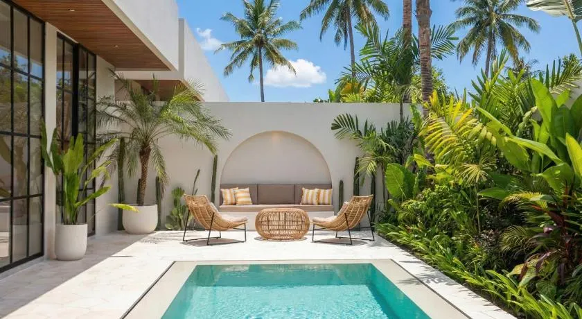 The Dreamland by The Young Villas - Image 1