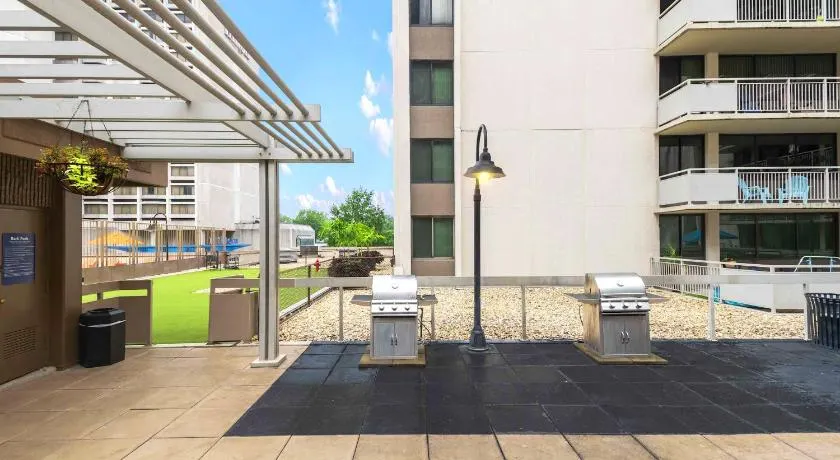 Charming Elegance Crystal City Apartment - Image 1