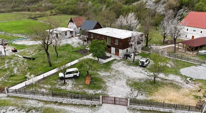 xhovani zelna - Image 1