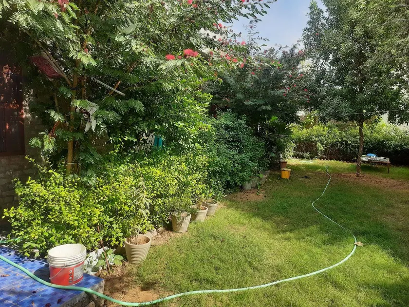 Royal Garden Stay - Image 1