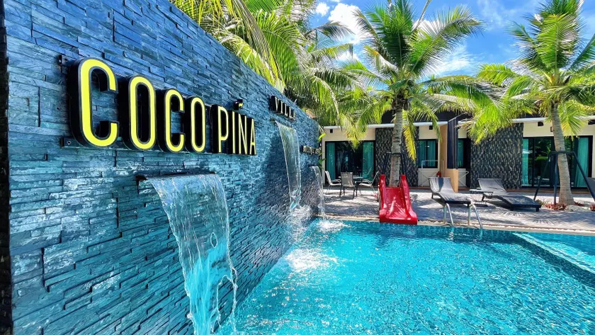 Coco Pina - Image 1