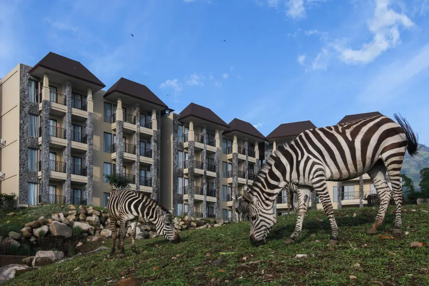 Baobab Safari Resort - Image 1