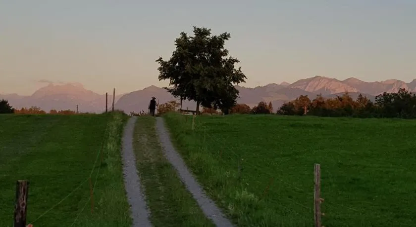 like home - Image 1
